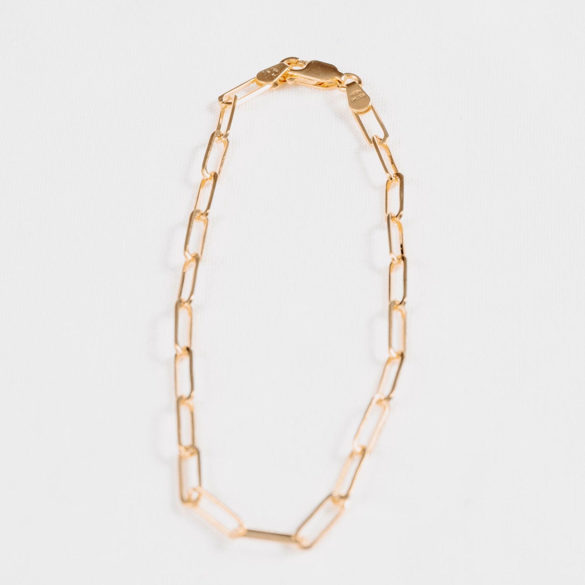Paperclip Chain - Medium