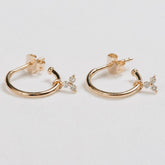 Clover Hoops